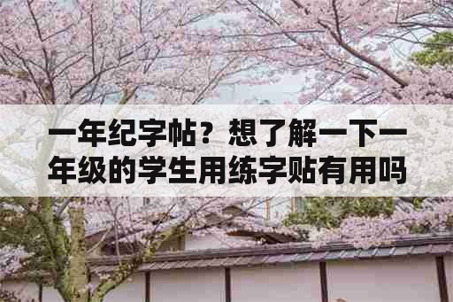 一年纪字帖？想了解一下一年级的学生用练字贴有用吗？能练出好字吗？