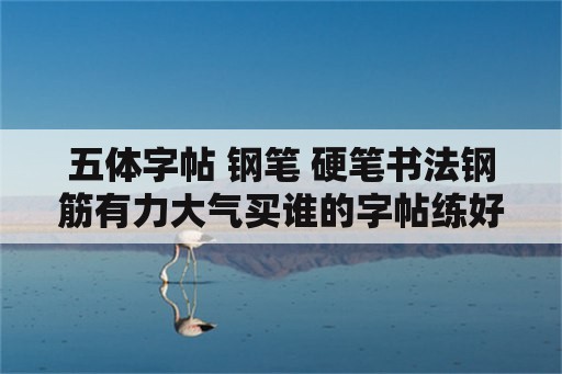 五体字帖 钢笔 硬笔书法钢筋有力大气买谁的字帖练好？