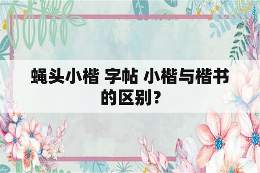 蝇头小楷 字帖 小楷与楷书的区别？