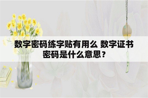 数字密码练字贴有用么 数字证书密码是什么意思？